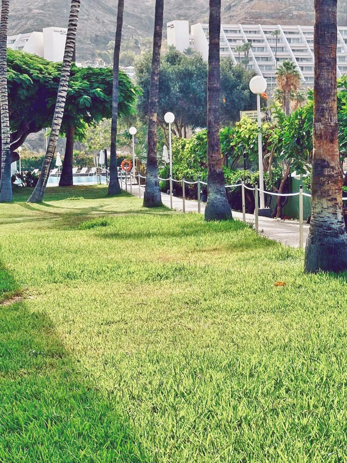 Apartamentos Portonovo Puerto Rico (Gran Canaria) Exterior foto